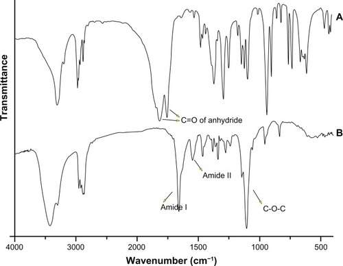 Figure 1 The representative Fourier transform infrared spectroscopy spectra of: rac-Leu-NCA (A) and PEG-PRL copolymer (B).Abbreviations: NCA, N-carboxy-anhydrides; PEG, poly(ethylene glycol); PRL, poly(racemic-leucine).