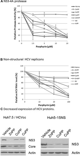 Figure 2 Porphyrin inhibition of HCV protease and HCV replication. (A). NS3-4A protease activity was determined fluorometrically using genotype 1B recombinant NS3/4A enzyme throughout. Appropriate wavelengths for measurement of fluorescence emission were determined empirically for each porphyrin to avoid quenching and/or background interference fluorescence (see Table 1). Each point value is the mean ±SEM with 3–5 determinations per point. Statistically significant differences between IC 50 were ranked using Fischer’s Least Significant Difference (LSD) test for multiple comparisons (Table 1). For α = 0.01, LSD = 1.57. (B). Log-phase Huh 5.15 NS replicons were treated for 48 hrs with various concentrations of porphyrin and HCV RNA then quantified using Real-Time comparative threshold (ΔCT) assay. Each point value is the mean ±SEM with 3–5 determinations per point. Statistical significant differences between EC50 values were determined using Fischer’s Least Significant Difference (LSD) test for multiple comparisons (Table 1). For α = 0.01; LSD = 1.83. (C). Western Blots for HCV proteins after HCV infection of Huh 7.5 or Huh 5.15NS replicon cells. Log-phase, J6/JFH infected, Huh 7.5 cells (left panel) were treated with MPP (10 µM) for 48 hrs. Cells were then lysed and viral protein expression evaluated on WB as described in methods. Log-phase Huh 5.15NS replicons (right panel) were treated with indicated MPP (10 μM) for 24 hrs and WB analyses performed similarly.