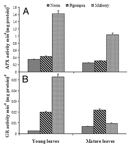 Figure 4. Changes in ascorbate-glutathione cycle enzymes (A) APX and (B) GR in young and mature leaves of neem, pigeonpea and mulberry.