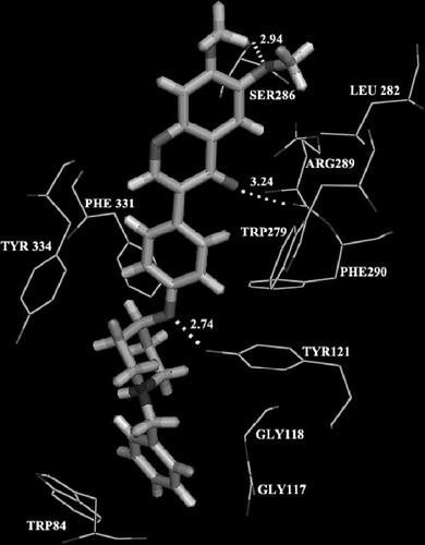 Figure 1.  Interaction between AChE and 9a.