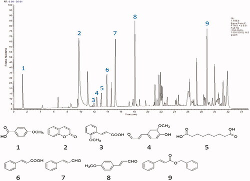 Figure 11. Result of the UPLC-QE-MS/MS assays of ACR. The MS total ion chromatograms (TIC) of ACR and chemical structures of identified compounds in ACR. ACR: an aqueous extract of Cinnamomi ramulus.