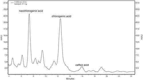 Figure 3. RP-HPLC chromatogram of phenolic compounds in methanolic extract of Bacopa monnieri biomass from in vitro culture on MS1 (MS liquid medium with 1.0 mg/L BAP and 0.2 mg/L NAA) with the addition of 0.5 g/L serine (neochlorogenic acid – RT = 7.28 min.; chlorogenic acid – RT = 12.41; caffeic acid – RT = 15.95 min.).