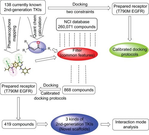 Figure 2 Schematic diagram of workflow for identifying potential EGFR-T790M inhibitors with novel scaffolds.