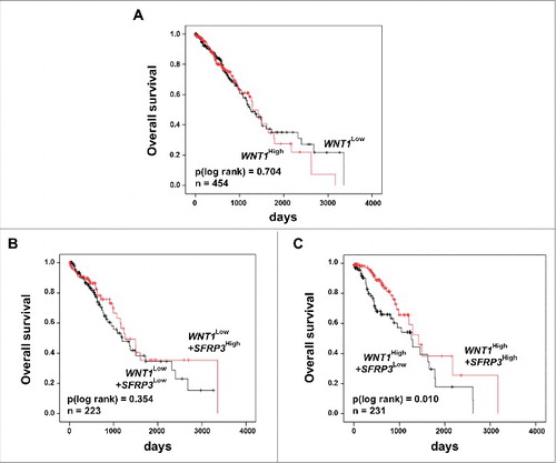 Figure 9. Univariate Kaplan-Meier survival analysis of combined high SFRP3 and WNT1 mRNA expression indicated a favorable prognosis for adenocarcinoma patients. (A) Kaplan-Meier survival analysis based on the TCGA human lung dataset illustrates no prognostic value for the proto-oncogene WNT1. (B) Univariate Kaplan-Meier analysis of adenocarcinoma patients with low WNT1 mRNA expression shows no prognostic benefit provided by SFRP3 mRNA expression. (C) Univariate survival analysis reveals a better prognostic outcome for adenocarcinoma patients with high WNT1 and high SFRP3 mRNA expression. Patients were dichotomized by high WNT1 mRNA expression (median > 2.52) and low WNT1 expression (median ≤ 2.52). Red line: higher SFRP3 mRNA expression (median > 272.11); black line: moderate SFRP3 expression (median ≤ 272.11). Vertical lines: censored cases.