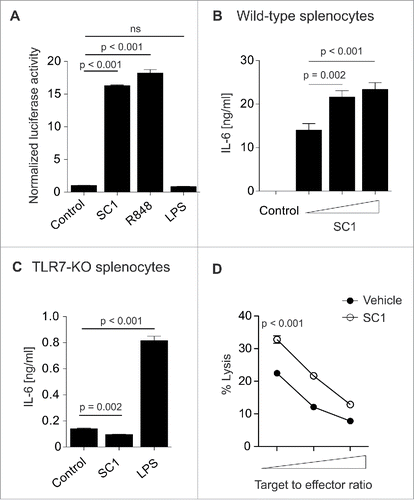 Figure 1. SC1 is a TLR7-specific agonist which enhances NK cell-mediated cytotoxicity in vitro. (A) 104 HEK293T cells, stably transfected with TLR7 and an NFkB reporter plasmid were stimulated over night with 10 µM SC1, R848 or LPS and luciferase activity was measured. (B) Splenocytes from C57Bl/6 mice were stimulated with 1, 5 or 10 µM of SC1 for 36 h. Supernatants were analyzed for IL-6 by ELISA. (C) TLR7-deficient splenocytes were stimulated with 4 µg/mL SC1, 3.1 µg/mL R848 or 1 ng/mL LPS for 36 h. IL-6 in supernatants was detected by ELISA. (D) Mice were treated s. c. with 10 mg/kg SC1 or vehicle solution. 12 h after treatment, NK cells were isolated from spleen and cultured with 2 × 104 YAC-1 target cells at target to effector cell ratios of 1 to 1.25, 1 to 2.5 and 1 to 5. Cytotoxicity was assessed by LDH release assay after 4.5 h of coculture. One representative experiment of three independent experiments is shown. Statistical significance was analyzed by two-tailed unpaired Student's t test. p values < 0.05 were considered significant. Error bars indicate SEM.