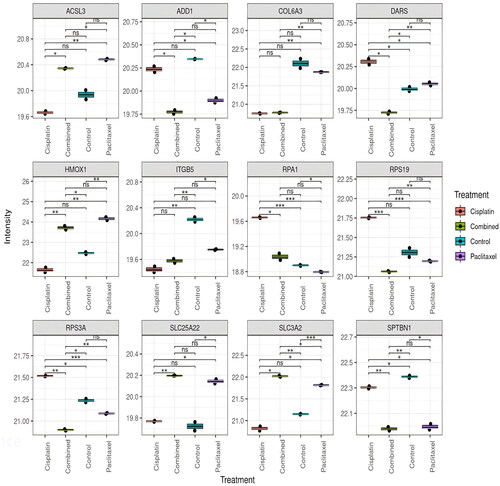 Figure 3. ANOVA box plot results representing the top 12 deregulated proteins across all samples. ANOVA was used to determine which proteins are significantly differentially expressed across all four groups, and can account for variability within and between groups, allowing for a comprehensive analysis of the differences between groups. X axis represents the different groups, and y axis represents log2 transformed LFQ intensity (*p < 0.05; **p < 0.01).