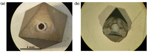 Figure 2. (a). The MgO octahedron with the Teflon capsule before compression. A few dozens of Artemia eggs are seen in the Teflon capsule which is being inserted in the centre hole of the octahedron and (b). after compression to 20 GPa for 30 min.