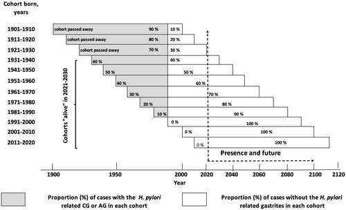 Figure 1. Schematic illustration of prevalences (in percentage) of cases with or without the H. pylori related non-atrophic gastritis (CG) or atrophic gastritis (AG) in birth cohorts of native Finns over a time span of 200 years. Each birth cohort is considered to include 100 people that are expected to live 100 years. It is assumed that the cohort-specific proportion of ‘diseased’ stomachs (with H. pylori related CG or AG) decreases with time, cohort-by-cohort, by 10% per every 10-year period.