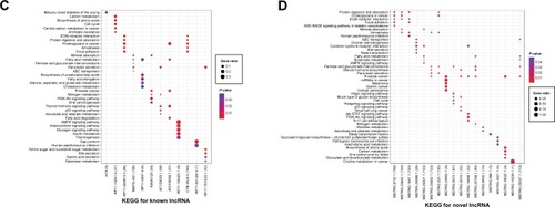 Figure 2 Functional enrichment analyses of common differentially expressed lncRNAs identified from the ES vs N and LS vs N groups. (A) GO BP for common differentially expressed lncRNAs; (B) GO BP for common novel differentially expressed lncRNAs; (C) KEGG for common differentially expressed lncRNAs; (D) KEGG for common novel differentially expressed lncRNAs. Node size: gene ratio; node color: P-value.Abbreviations: ES, early stage; LS, late stage; N, normal samples; lncRNAs, long non-coding RNAs; GO, Gene Ontology; BP, biological process; KEGG, Kyoto Encyclopedia of Genes and Genomes.