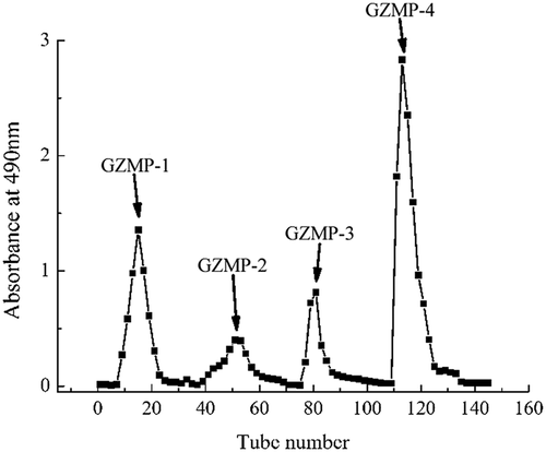 Figure 2. Anion-exchange chromatogram of ZMP on the DEAE cellulose-52 column. The ZMP solution was applied to the DEAE cellulose-52 column (2.6 cm × 40 cm) and eluted with distilled water, followed by 0.05, 0.10, and 0.30 M NaCl, sequentially, at a flow rate of 1.0 mL/min.