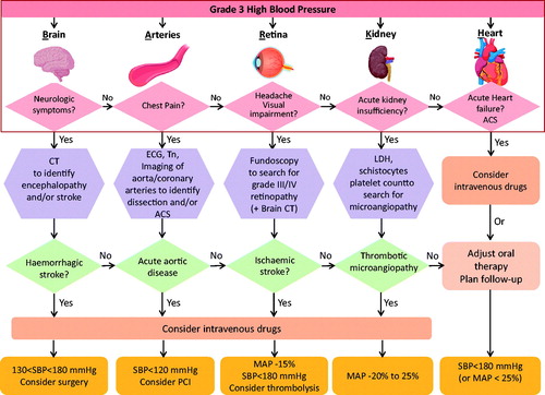 Figure 5. The cartoon illustrates the BARKH approach to identification and treatment of HEs, a simplified symptom-based hierarchical algorithm to assist physicians in the rapid evaluation of patients presenting with suspected HEs. See text for the details. BARKH: brain, arteries, retina, kidney and/or heart; SBP: systolic BP; MAP: mean arterial pressure; LDH: lactic dehydrogenase.