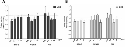 Figure 2. Clonogenic potential of cells isolated from JAK2V617F negative erythrocytosis patients in pan-myeloid differentiation medium. CFU obtained from peripheral blood MNCs treated with enalaprilat (A) and losartan (B), n = 4.