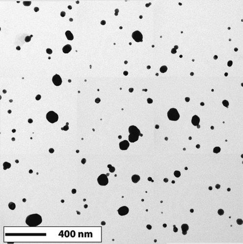 FIG. 7 Typical TEM bright field image of polydisperse Ag particles.