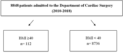 Figure 1 Study flowchart.