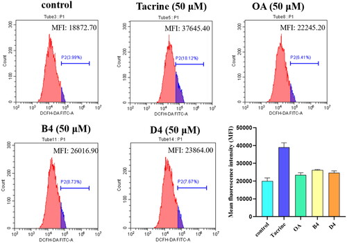 Figure 7. The effect of compounds B4 and D4 on intracellular ROS production in HepG2 cells. The percentage of cells for ROS was stained with DCFH-DA and the stained cells were immediately determined by flow cytometry.