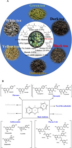 Figure 1. Six traditional teas and their major chemical composition and major classification of flavonoids in tea and the chemistry structure.Six typical traditional teas have been illustrated including green tea, white tea, yellow tea, oolong tea, black tea, and dark tea according to their unique processing procedures. Amino acids (theanine and GABA), alkaloids (caffein), lipids, soluble sugars, minerals, lipid soluble pigments, and others are major quality-related compounds in teas. Flavonoids which occupied around 25–35% behave typically different in six types of teas, that catechins are major flavonoids in green and white teas, proanthocyanidins are enriched in specialized green and white teas, theasinensins, theaflavins, and thearubigins are characteristics flavonoids in oolong teas and black teas, and theabrownines are particularly formed in dark teas. Besides, anthocyanins and novel flavoalkaloids are attracting attentions for their importance in teas.