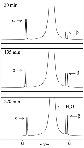 Figure 4. 1HNMR of pure α-glucopyranose in D2O at 20°C followed as a function of time.