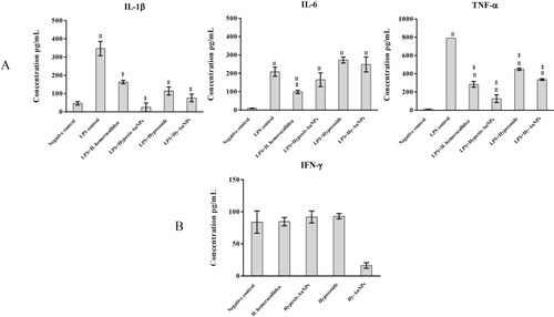 Figure 7 Quantification of cytokines release from THP1 and NK92 cells following treatment with H. hemerocallidea extract, Hypoxoside, Hypoxis-AuNPs and Hy-AuNPs. (A) THP1 cells were stimulated with LPS for 6 hrs. The LPS containing medium was then replaced by the respective treatments and the cells were incubated for another 18 hrs, after which the cytokine production (IL-1β, IL-6 and TNF-α) was quantified by ELISA. (B) NK92 cells were exposed to the respective treatments for 24 hrs, after which IFN-γ production was quantified by ELISA. ¤ Statistical significance (p ˂ 0.05) compared to the negative control. ‡ Statistical significance (p ˂ 0.05) compared to the 6 hrs treatment with LPS (LPS control).