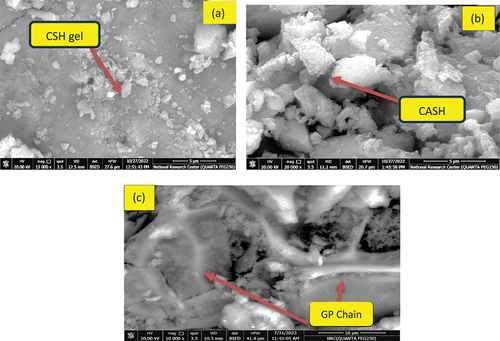 Figure 9. SEM images for GP hydrothermal cured after 28 days for (a)B,(b) AH10 and (c)AH10-F.