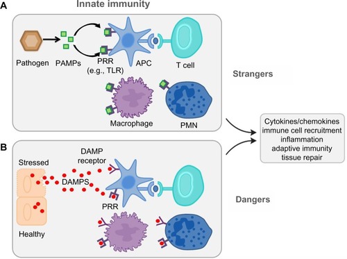 Figure 2 Danger and stranger models.