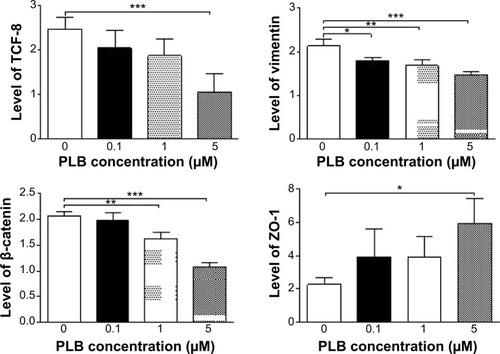 Figure 24 Dose-effect of PLB on the expression level of selected EMT markers in DU145 cells.