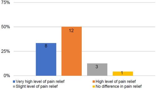 Figure 5 Satisfaction with treatment: level of pain relief following physical therapy.