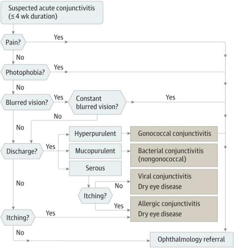 Figure 2 Differential diagnosis algorithm for suspected acute conjunctivitis. Reproduced with permission from JAMA. 2013;310(16):1721–1729. Copyright©2013 American Medical Association. All rights reserved.Citation2