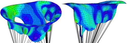 Figure 1. Stress distribution on the pathological valve at t = 0.09 s. Red is 1 MPa and blue is 0 MPa.