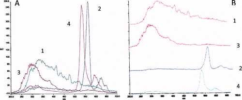 Figure 1. Constant-wavelength synchronous fluorescence spectra (Δλ = 10 nm), of (A) 1 – buffer, 2 – standard solution of PE, PC, and APC in buffer and constant-wavelength synchronous fluorescence spectra (Δλ = 40 nm), 3 – buffer, 4 – standard solution of PE, PC, and APC in buffer and (B) their respective zoom. Figura 1. Espectrofluorimetría sincrónica con diferencia constante de longitud de onda (Δλ = 10 nm), de A: 1 – tampón 2 – solución estándar de PE, PC y APC en tampón y espectrofluorimetría sincrónica con diferencia constante de longitud de onda (Δλ = 40 nm), de, 3 – tampón, 4 – solución estándar de PE, PC y APC en tampón y B: su zoom [acercamiento] respectivo.