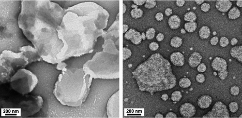 FIG. 10 TEM images of particles collected in (a, left) dry ESP and (b, right) WESP (voltage applied on corona wire = +4.2 kV and voltage applied on collecting plate = −3.5 kV).