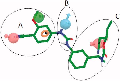 Figure 2. The five-point pharmacophore model – AADHR – for IMPDH inhibitors with VX-148 (3, Figure 1) and the design strategy based on 3 (Parts A, B and C) utilized for systematic modifications. A: Acceptor (light pink); D: Donor (cyan); H: Hydrophobic (green) and R: Ring (orange) features.