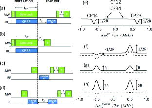 Figure 1. Pulse sequences of pulsed ENDOR experiments employed in this work. (a) CP-ENDOR, (b) eNCP, (c) Davies ENDOR, (d) TRIPLE-ENDOR. In (a,c,d), the first part of the sequence (preparation) creates a polarisation pattern in the nuclear spin manifolds that is read out by the ENDOR RF pulse and detected by the subsequent MW spin echo. The second selective RF pulse in both CP-ENDOR (a) and TRIPLE (d) at a fixed frequency creates an asymmetry in the nuclear sublevel populations, which results in an asymmetric ENDOR spectrum. (e) Simulated eNCP spectrum for a single spin packet for the case A> ω1eω1n; the CP conditions are marked according to Equation (10). (f) CP-ENDOR spectra with Δωn fulfilling the [1-4] CP condition. (g) CP-ENDOR spectra with Δωn not fulfilling any of the CP conditions. (h) Davies ENDOR. In (f), (g), (h) the solid line represents the spectrum after single repeat of a pulse sequence, dashed line signal after second repeat of the pulse sequence. The intensities of the peaks are marked according to Table 1. Simulation parameters A > ω1e ω1n; T1e Tr T1n.