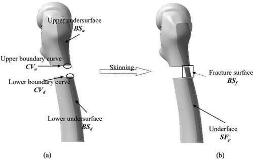 Figure 6. Creation of undersurface of plate model. Creation of upper and lower undersurfaces (a) and creation of the surface in fracture region (b).