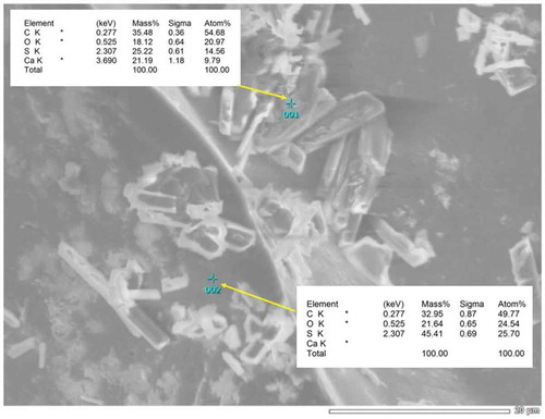 Figure 9. Energy-dispersive X-ray spectroscopy of calcium carbide sample used in artificial fruit ripening.