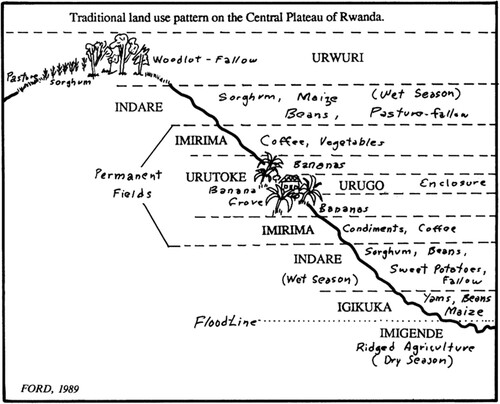 Figure 2. Rendition of a spatially and temporally heterogeneous agroecology in twentieth century Rwanda. Figure from Ford (Citation1990).