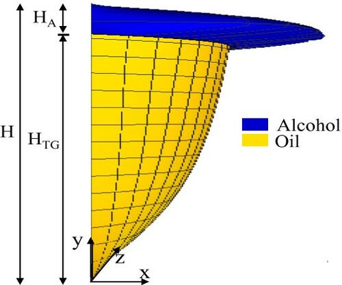 Figure 1. Scheme of the velocity profile for the fully developed stratified flow between oil (soybean) and alcohol (methanol) within a microreactor.