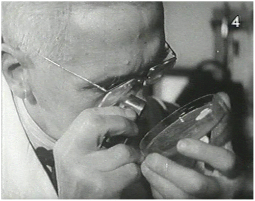 Figure 13. S325 Video 4, Sporulation. Fleming re-enacts his discovery of penicillin.