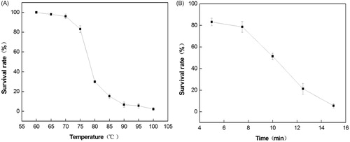Figure 2. The effect of time at 75 °C on strain viability of LY33. (A) With the increase of temperature, the survival rate of LY33 decreased, and when the temperature was higher than 75 °C, the survival rate declined dramatic. (B) With increasing preservation time, the survival rate of LY33 decreased, and preservation 10min, its survival rate decreased by about half.