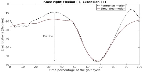 Figure 2. Joint rotations of the right knee: flexion (-), extension (+).