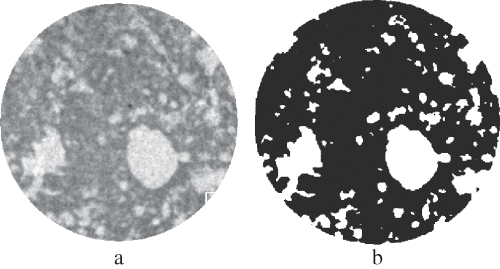 Figure 1 Grayscale and binarized image of a formulated coating (100% wheat flour + 1% CMC) of deep-fat fried chicken nuggets.