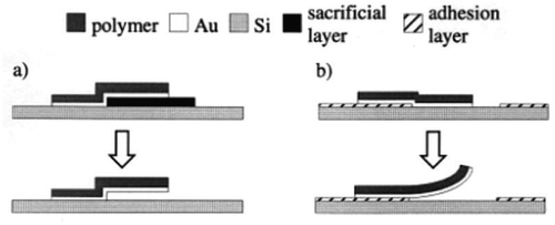 Figure 24. Micromachining methods of creating out of plane conjugated polymer bending actuators: (a) use of a sacrificial layer (b) differential adhesion method. Figure reprinted with permission from [Citation129].