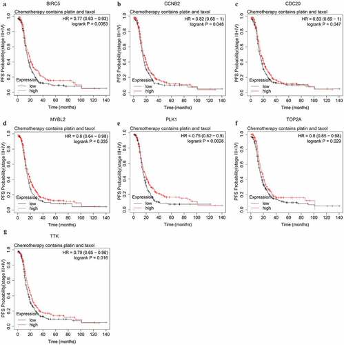 Figure 8. The PFS curves of the key genes with significant prognostic value analyzed on 562 SOC patients of stage III+IV treated with chemotherapy containing both platin and taxol