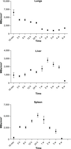 Figure 8 Digital quantification of the number of Perl’s Prussian blue-stained SPION microbubbles in the lungs, liver, and spleen over time.Abbreviations: SPION, superparamagnetic iron oxide; MBs, microbubbles; mins, minutes; h, hours; w, weeks.