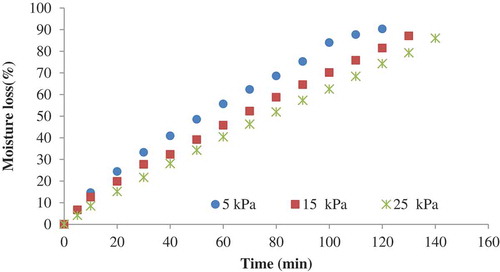 Figure 3. Variations of moisture loss with drying time of grapefruit slices at different system pressure (300 W).