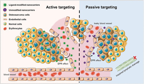 Figure 1. Schematic representation of active and passive targeted drug delivery in anticancer therapy – reprinted from reference [Citation63], copyright 2023, Springer Nature.