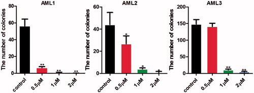 Figure 8. Compound 7l suppressed the colony formation of primary human leukaemia cells. *p < 0.05, **p < 0.01.