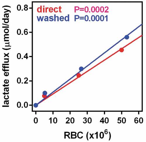 Figure 1. Production of lactate by RBCs incubated in medium with 14 mM glucose The data are the mean ± sem of 4 samples of adult rat blood. The blue dots and line coprrespond to samples of blood washed and processed in the same way than tissue extracts. Red dots and line are the results of direct incubation of whole fresh blood, The X axis represents the the number of RBC per well and the Y axis the amount of lactate released in micromoles per day. The p values represented in the Figure correspond to the statistical significance if the correlation between cell numbers and lactate efflux. No statistically significant differences were appreciated between the values for fresh blood and washed RBCs.