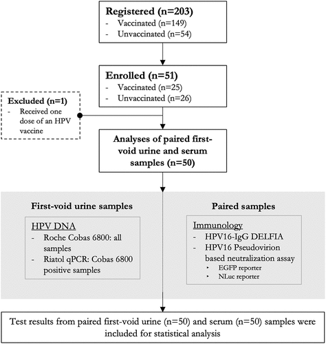 Figure 1. Flow diagram of the study. Test results from 50 paired first-void urine and serum samples were included.