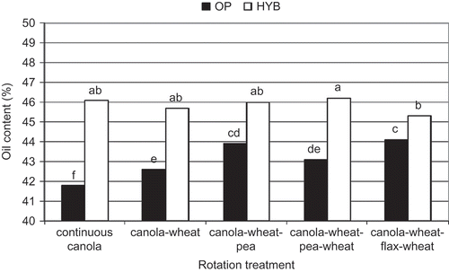 Fig. 5. Oil content (%) of each canola cultivar (OP or HYB) in each rotation. Data are the means of 16 site-years (Melfort 2000–2006 and Scott 1999–2007). Standard error of mean = 1.3. Bars with the same letter are not significantly different at P ≤ 0.05 according to Fisher's LSD test.