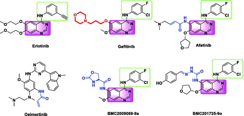 Figure 1. The chemical structures of several small molecule EGFR inhibitors.